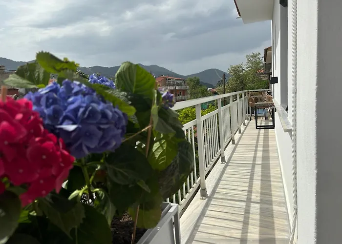 Eva Ommm * 萨索斯